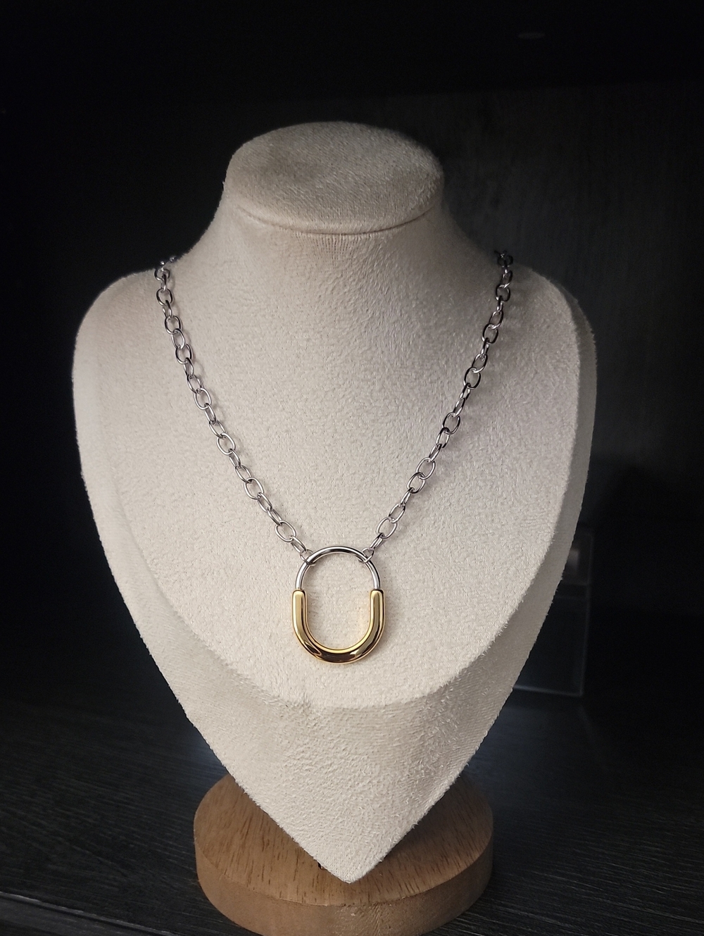 Mixed Metal Link Necklace with Gold Accent